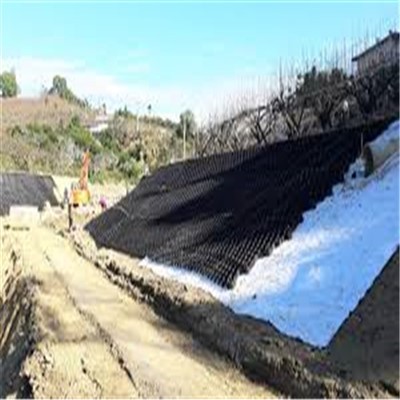 Black Slope Geocell